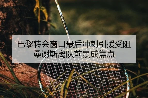 巴黎转会窗口最后冲刺引援受阻 桑谢斯离队前景成焦点